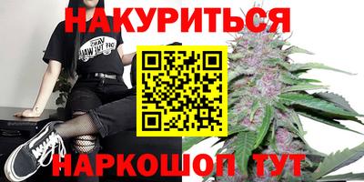 шишки Заводоуковск