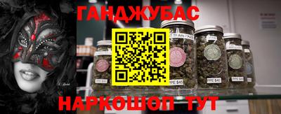шишки Заводоуковск