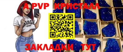 шишки Заводоуковск