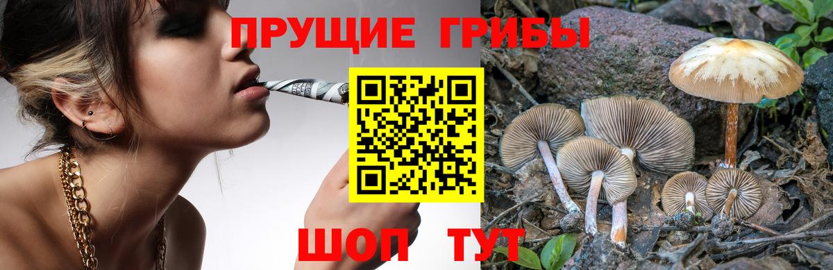 Железноводск  Галлюциногенные грибы Cubensis  Вход с VPN  Псилоцибиновые грибы Cubensis 